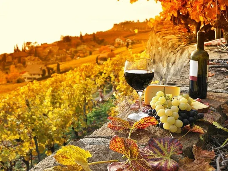 Food experience Alentejo - Private tours